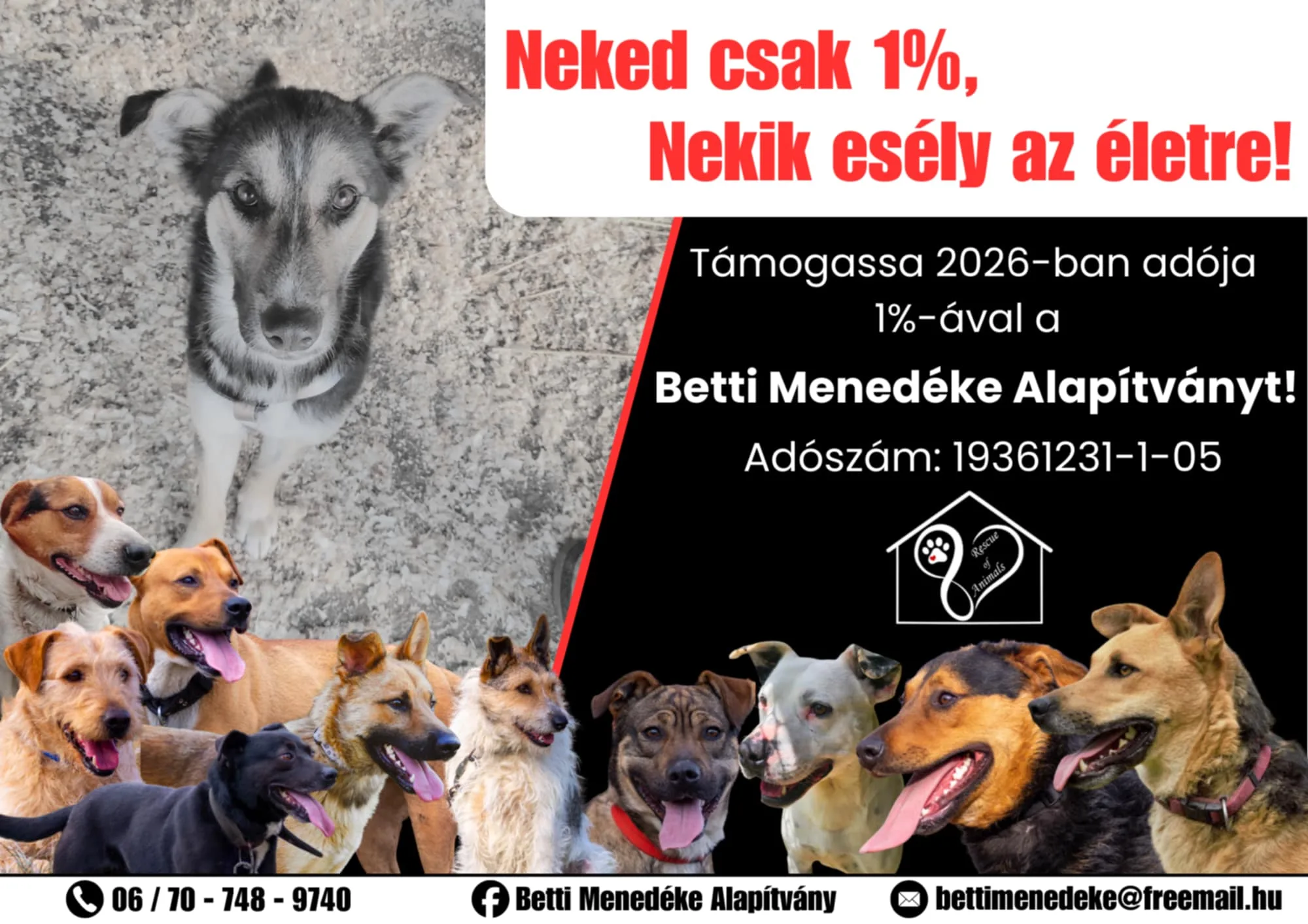dbc7a721 dc9d 460f 8da4 168aeb85d3d2
